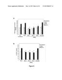 METHODS OF INCREASING MACROPINOCYTOSIS IN CANCER CELLS diagram and image