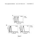 METHODS OF INCREASING MACROPINOCYTOSIS IN CANCER CELLS diagram and image