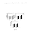 METHODS OF INCREASING MACROPINOCYTOSIS IN CANCER CELLS diagram and image