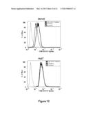 METHODS OF INCREASING MACROPINOCYTOSIS IN CANCER CELLS diagram and image