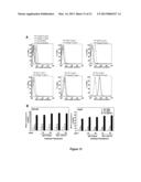 METHODS OF INCREASING MACROPINOCYTOSIS IN CANCER CELLS diagram and image