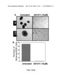 METHODS OF INCREASING MACROPINOCYTOSIS IN CANCER CELLS diagram and image