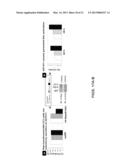 METHODS OF INCREASING MACROPINOCYTOSIS IN CANCER CELLS diagram and image