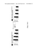 METHODS OF INCREASING MACROPINOCYTOSIS IN CANCER CELLS diagram and image