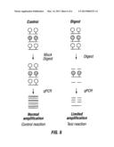 DETECTION OF DNA METHYLATION diagram and image