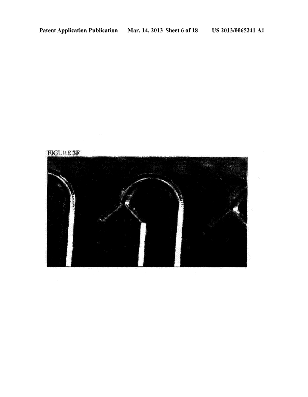 Methods And Compositions Related To Continuous Flow Thermal Gradient PCR - diagram, schematic, and image 07