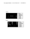 Methods And Compositions Related To Continuous Flow Thermal Gradient PCR diagram and image