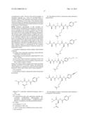 REAGENTS AND METHODS FOR SIRTUIN CAPTURE diagram and image