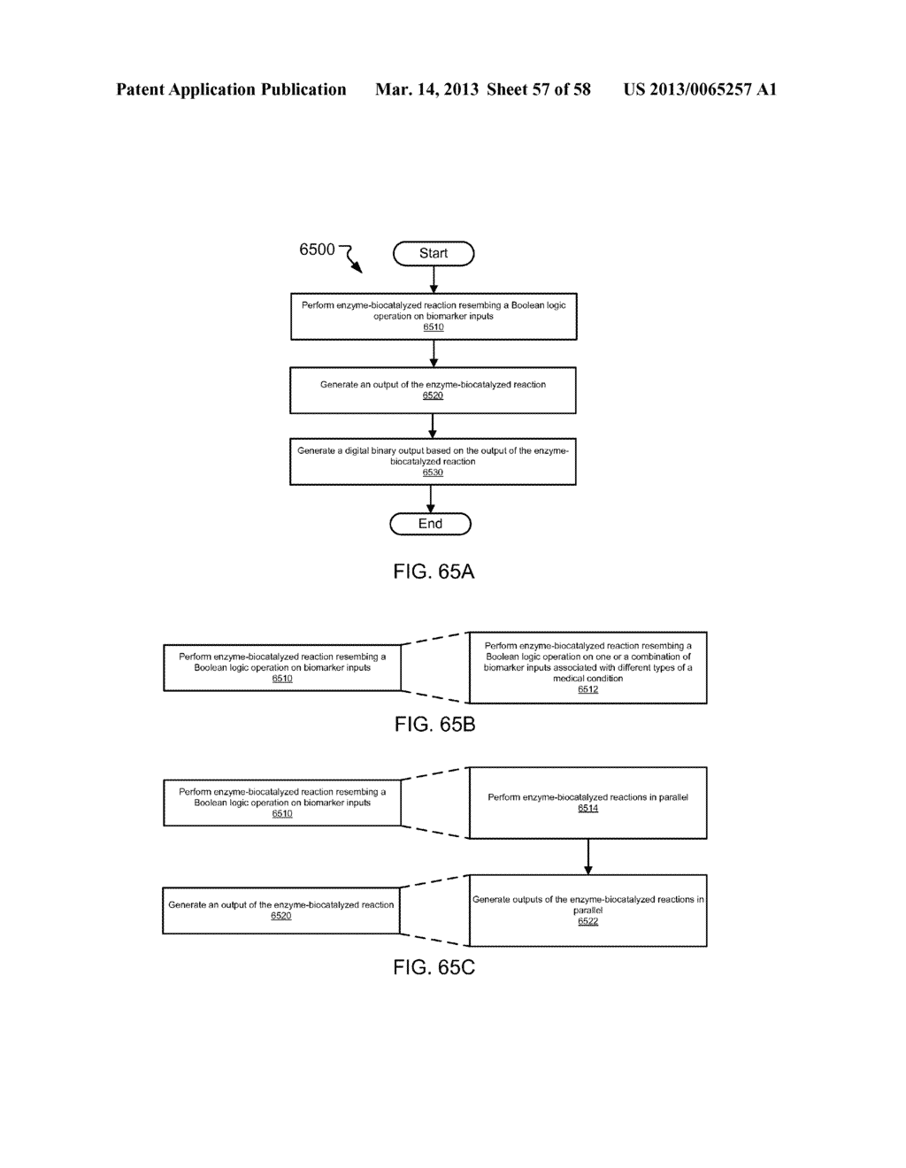 ENZYME-LOGIC BIOSENSING - diagram, schematic, and image 58