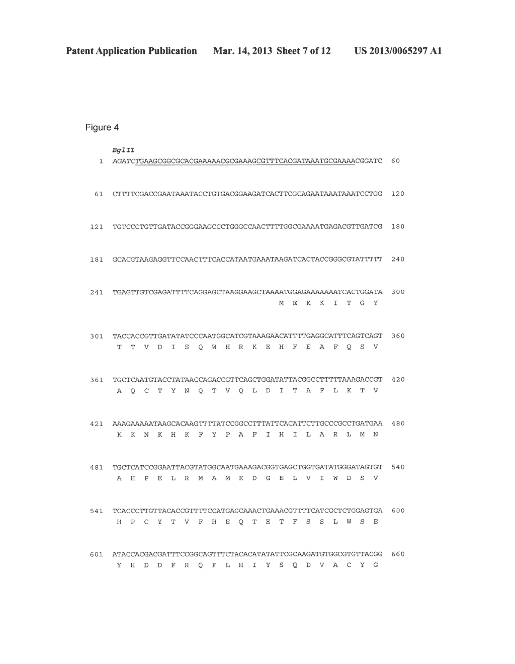 CHROMOSOMAL INSERTION OF GFP INTO BACTERIA FOR QUALITY CONTROL - diagram, schematic, and image 08