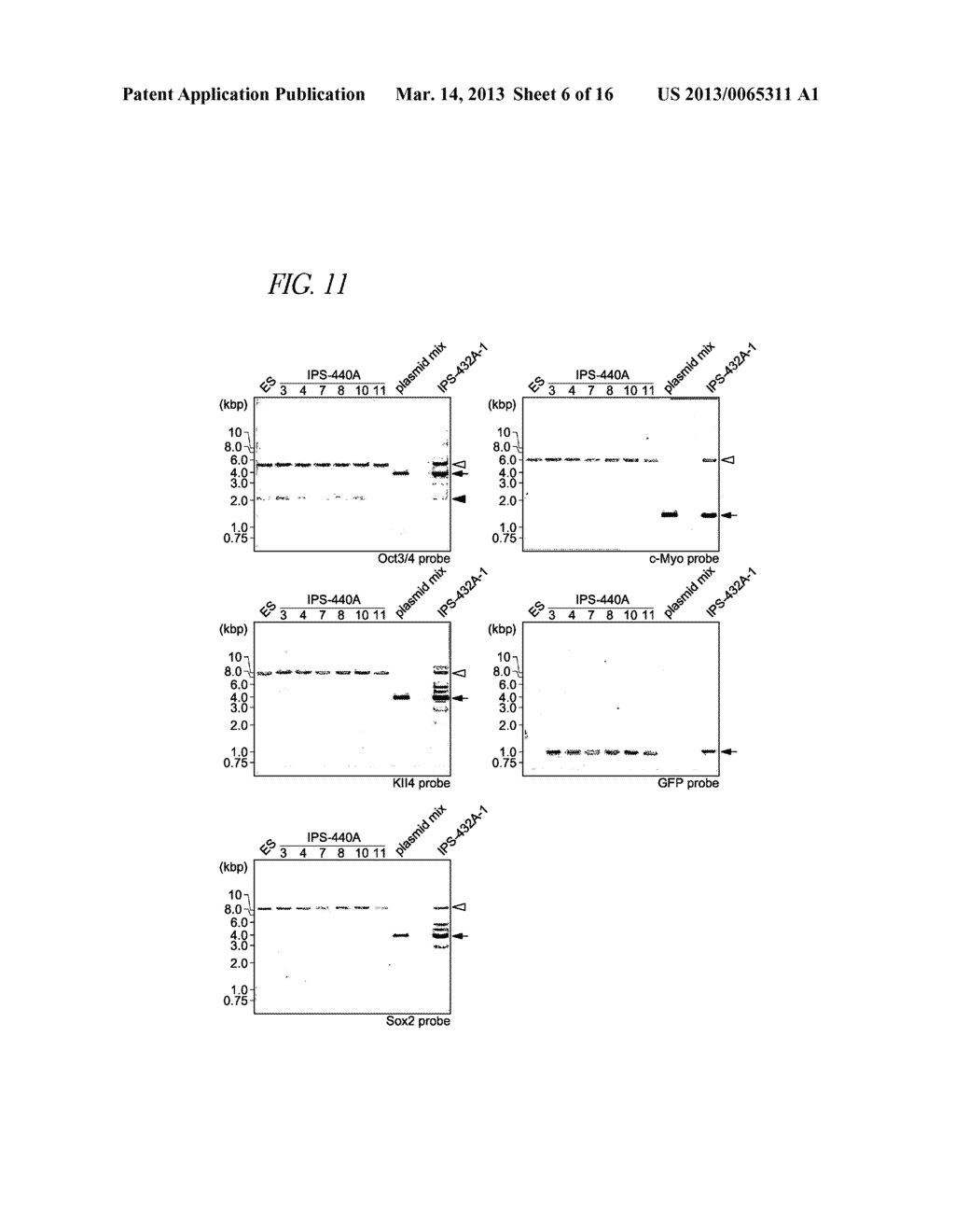 METHOD OF NUCLEAR REPROGRAMMING - diagram, schematic, and image 07