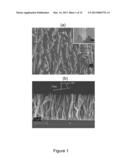 ULTRATHIN MAGNESIUM NANOBLADES diagram and image