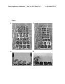 CONTROLLED RELEASE OF SEED AND SOIL TREATMENTS TRIGGERED BY pH CHANGE OF     GROWING MEDIA diagram and image