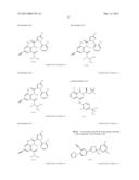 SPIROHETEROCYCLIC DIONE DERIVATIVES USED AS PESTICIDES diagram and image