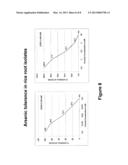 COMPOSITIONS AND METHODS FOR IMPROVING RICE GROWTH AND RESTRICTING ARSENIC     UPTAKE diagram and image