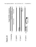 ASSAYS, COMPOSITIONS AND METHODS FOR DETECTING DRUG RESISTANT     MICRO-ORGANISMS diagram and image