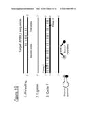 ASSAYS, COMPOSITIONS AND METHODS FOR DETECTING DRUG RESISTANT     MICRO-ORGANISMS diagram and image