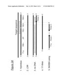 ASSAYS, COMPOSITIONS AND METHODS FOR DETECTING DRUG RESISTANT     MICRO-ORGANISMS diagram and image