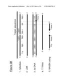 ASSAYS, COMPOSITIONS AND METHODS FOR DETECTING DRUG RESISTANT     MICRO-ORGANISMS diagram and image