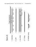 ASSAYS, COMPOSITIONS AND METHODS FOR DETECTING DRUG RESISTANT     MICRO-ORGANISMS diagram and image