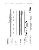 ASSAYS, COMPOSITIONS AND METHODS FOR DETECTING DRUG RESISTANT     MICRO-ORGANISMS diagram and image