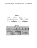 ARRAY OF MICROMOLDED STRUCTURES FOR SORTING ADHERENT CELLS diagram and image