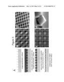 ARRAY OF MICROMOLDED STRUCTURES FOR SORTING ADHERENT CELLS diagram and image