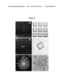 ARRAY OF MICROMOLDED STRUCTURES FOR SORTING ADHERENT CELLS diagram and image