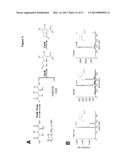 CELL-FREE PREPARATION OF CARBAPENEMS diagram and image