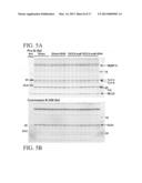 Method of Improving Diastolic Dysfunction diagram and image