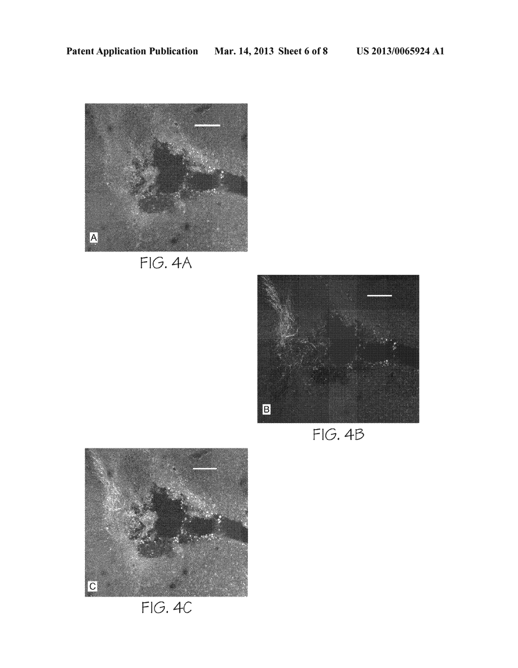 COMPOSITION AND METHOD FOR THE TREATMENT OF NEURODEGENERATION - diagram, schematic, and image 07