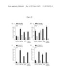 MODULATION OF BIOACTIVE EPOXY-FATTY ACID LEVELS BY PHOSPHODIESTERASE     INHIBITORS diagram and image