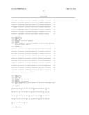 NUCLEIC ACID MOLECULES AND METHODS FOR EXCHANGING EXON(S) BY TRANSSPLICING diagram and image