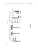 MICRORNA MIRNA-31 AS A THERAPEUTIC APPROACH FOR THE TREATMENT OF CANCER diagram and image