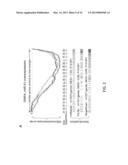 MICRORNA MIRNA-31 AS A THERAPEUTIC APPROACH FOR THE TREATMENT OF CANCER diagram and image