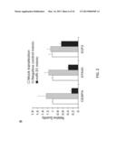 MICRORNA MIRNA-31 AS A THERAPEUTIC APPROACH FOR THE TREATMENT OF CANCER diagram and image