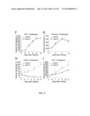 MICRORNA MIRNA-31 AS A THERAPEUTIC APPROACH FOR THE TREATMENT OF CANCER diagram and image