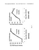 MICRORNA MIRNA-31 AS A THERAPEUTIC APPROACH FOR THE TREATMENT OF CANCER diagram and image