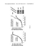 MICRORNA MIRNA-31 AS A THERAPEUTIC APPROACH FOR THE TREATMENT OF CANCER diagram and image