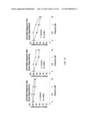 MICRORNA MIRNA-31 AS A THERAPEUTIC APPROACH FOR THE TREATMENT OF CANCER diagram and image