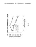 MICRORNA MIRNA-31 AS A THERAPEUTIC APPROACH FOR THE TREATMENT OF CANCER diagram and image