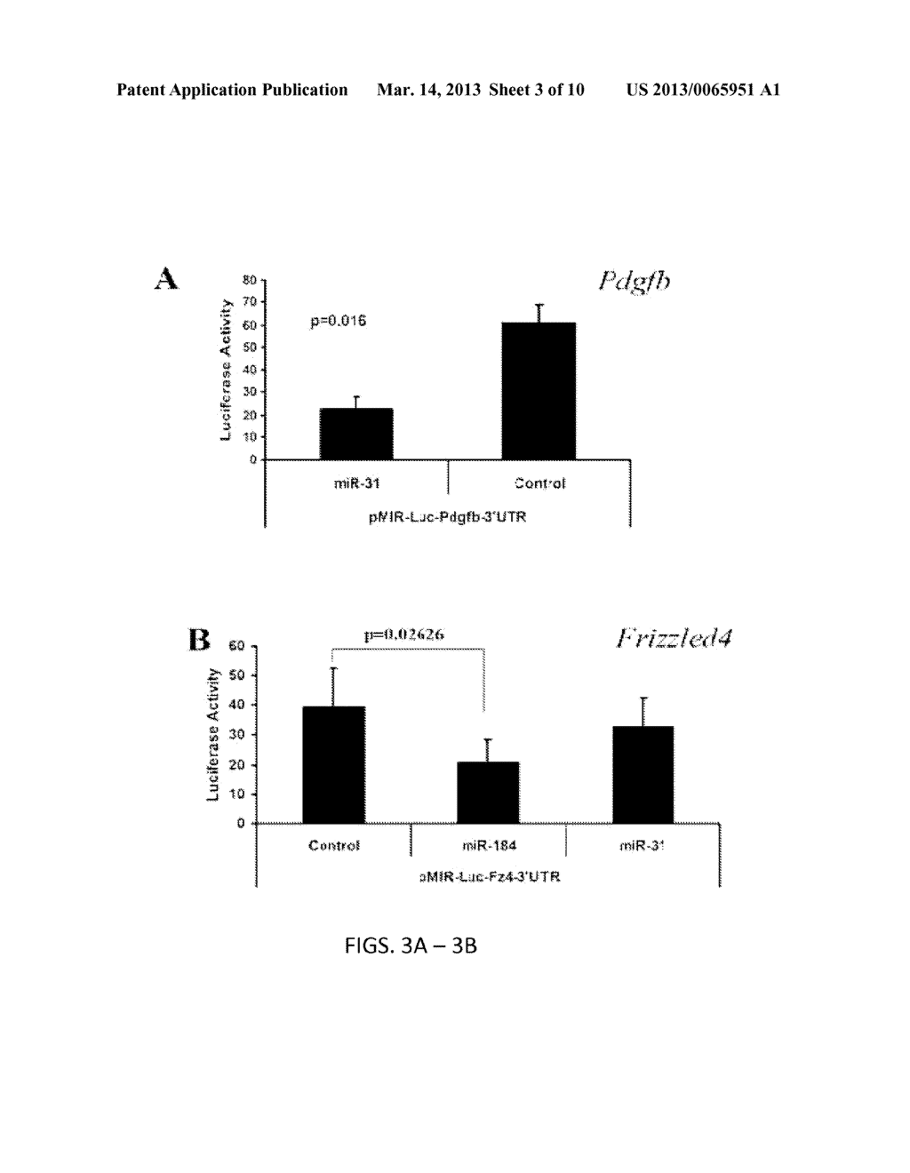 COMPOSITIONS AND METHODS RELATED TO MIRNA MODULATION OF NEOVASCULARIZATION     OR ANGIOGENESIS - diagram, schematic, and image 04