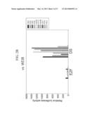 TUMOR-SPECIFIC PROMOTER AND ONCOLYTIC VIRUS VECTOR COMPRISING THE SAME diagram and image