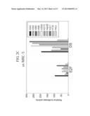 TUMOR-SPECIFIC PROMOTER AND ONCOLYTIC VIRUS VECTOR COMPRISING THE SAME diagram and image