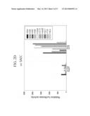 TUMOR-SPECIFIC PROMOTER AND ONCOLYTIC VIRUS VECTOR COMPRISING THE SAME diagram and image