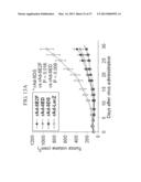 TUMOR-SPECIFIC PROMOTER AND ONCOLYTIC VIRUS VECTOR COMPRISING THE SAME diagram and image