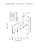 TUMOR-SPECIFIC PROMOTER AND ONCOLYTIC VIRUS VECTOR COMPRISING THE SAME diagram and image