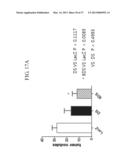 TUMOR-SPECIFIC PROMOTER AND ONCOLYTIC VIRUS VECTOR COMPRISING THE SAME diagram and image