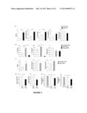 METHODS FOR SCREENING Th2 INFLAMMATORY DISEASES diagram and image