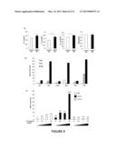 METHODS FOR SCREENING Th2 INFLAMMATORY DISEASES diagram and image